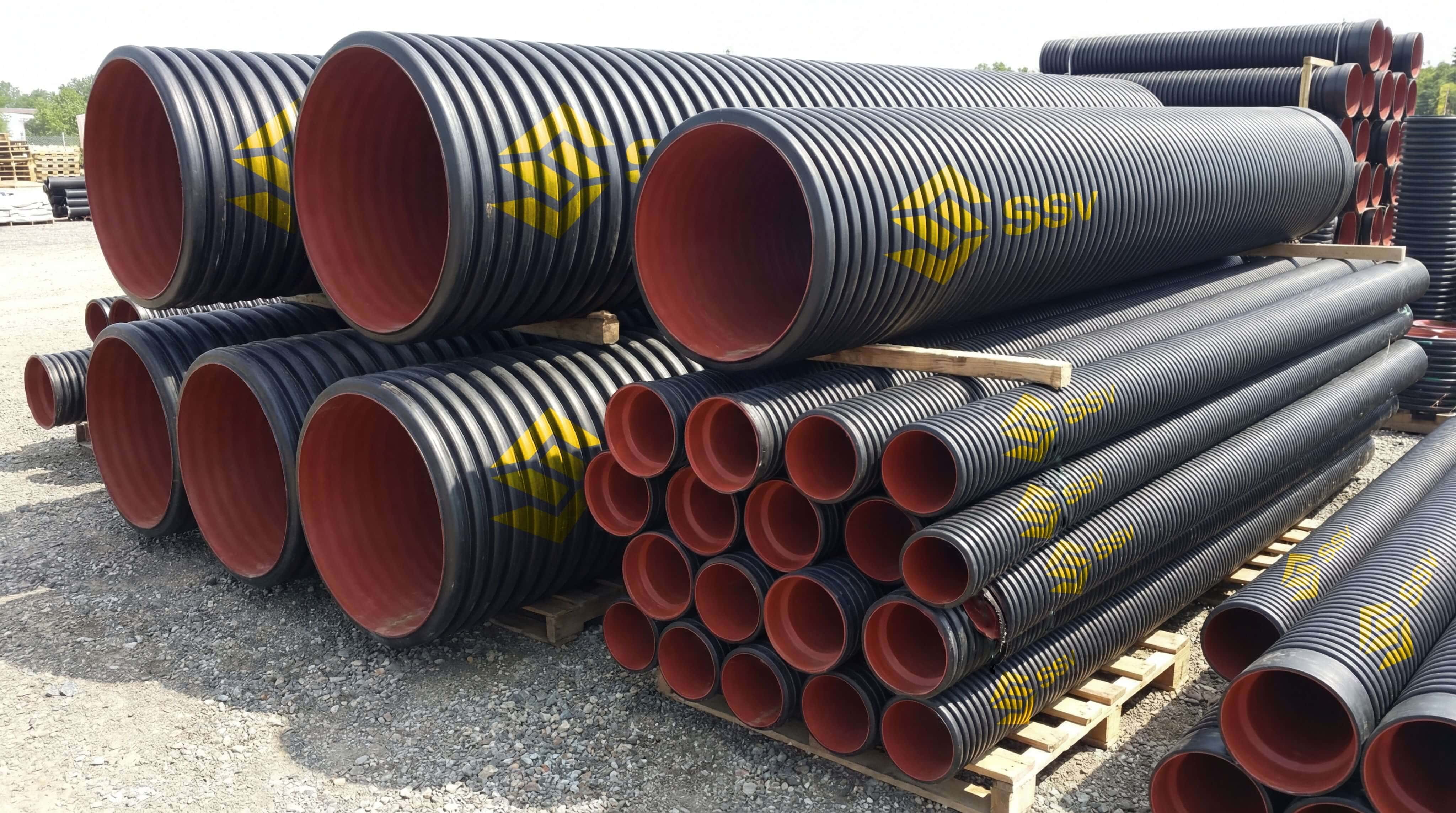 Lorem Picsum photo 1