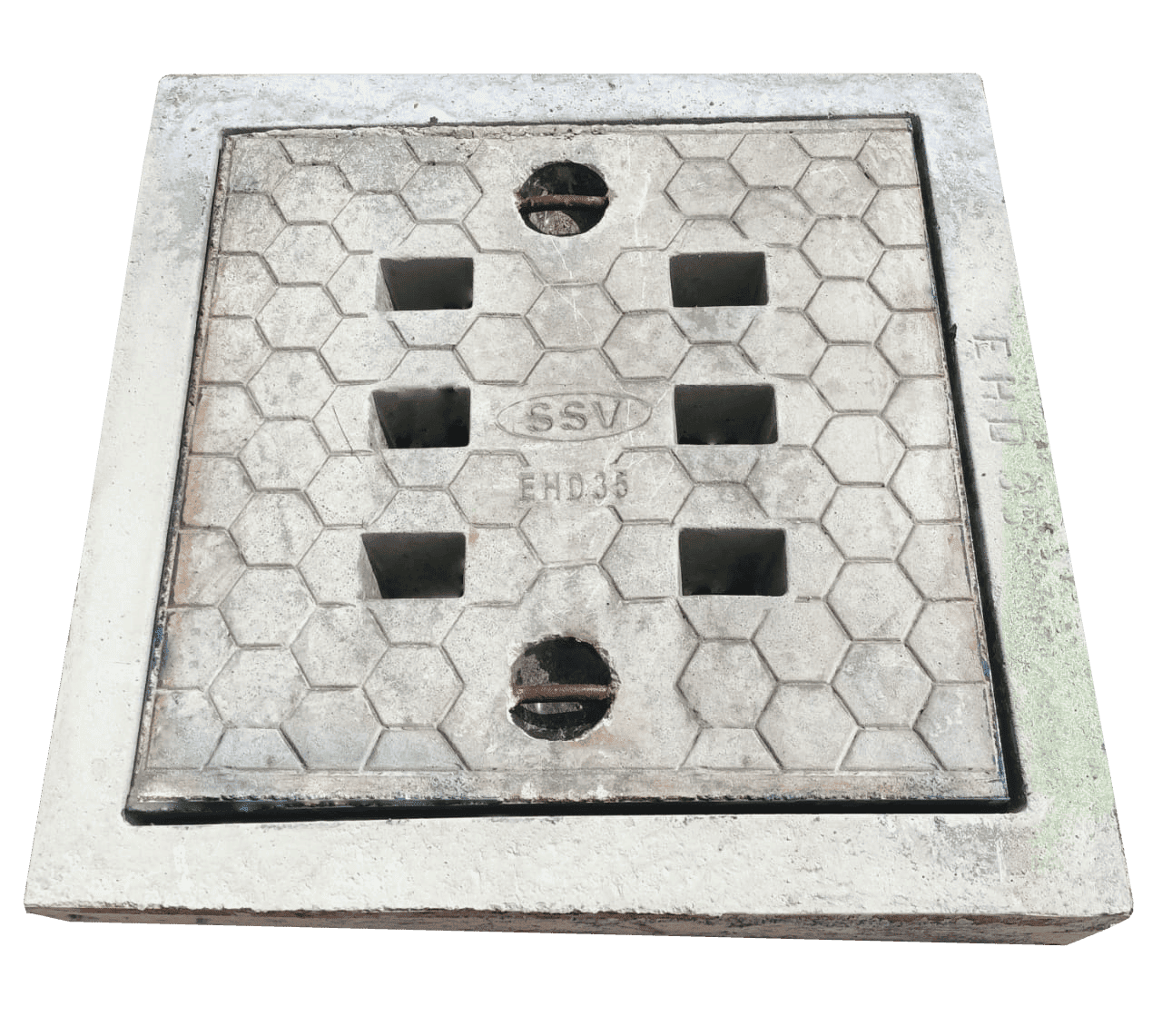 Lorem Picsum photo 2